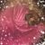 Dawn Regel Gobble's profile image