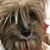 Francine Bricker Howard's profile image