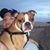 Scott Schmidtline's profile image