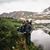 Aimee Bartee's profile image