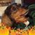 Lynda McMurry Hooper's profile image