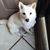 Darcie Merwin's profile image