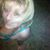 Michelle Evans's profile image