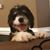 Misty Nichols Jacobik's profile image