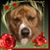 Nancy Ingram's profile image