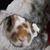 Molly Roger Cunninghsm's profile image