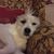 Katherine Peck Richardson's profile image