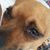 Martha Meadows McAlpine's profile image