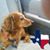Byron Gresham's profile image