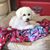 Charlotte Willis Smallwood's profile image