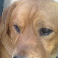 Charles Alday's profile image