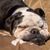 JoAnn Morrison Morlan's profile image