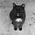 Jill Kirsch's profile image