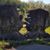 Patricia McLaughlin Bryant's profile image