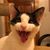 Carolina Razsa's profile image