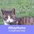 Mary Haworth Carswell's profile image