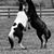 Debbie Tommy Hamlin's profile image