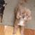 Donna Fiorello Burt's profile image