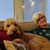 Jamie Wurzel Stramiello's profile image