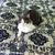 Suzanne Pollins MacLennan's profile image