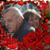Anne DeAngelis Smith's profile image