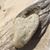 Kathleen Abreu Gordon's profile image