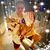 Jeff Prine's profile image