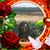 Donna Campbell's profile image