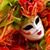 Sandy Corrigan's profile image