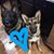 Lisa Marie's profile image