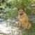 Shanna Smith's profile image