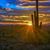 Deborah Kinlock-hall's profile image