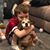 Lisa Willis Cedergren's profile image