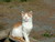 Janice M.'s profile image