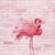 Terry Lynn Hankins's profile image