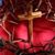 Teresa Gilley's profile image