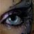 Dee Kaye's profile image