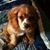 Richard Buie's profile image