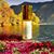 Diane Stanziale Chambers's profile image