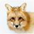 Rhonda Cable's profile image
