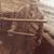 Robert Cahn's profile image