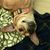 Christine Robinson's profile image