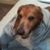 Stephen D. Bowden's profile image