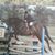 Eileen Logeston Davis's profile image