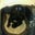 Christopher Thurman's profile image