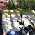 Tom Bingham's profile image