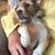 Cookie Scheff's profile image