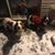 Liz Banaszek Hamby's profile image