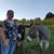 Andrea Zancanella's profile image