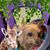Karen Massey's profile image